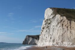 White Cliffs White Cliffs