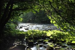 Angler's Paradise Angler's Paradise