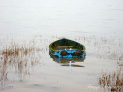 Nature Reclaiming Wooden Boat Nature Reclaiming Wooden Boat