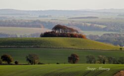 Neolithic Landscape Neolithic Landscape