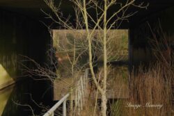 Where the M4 meets the Kennet Where the M4 meets the Kennet