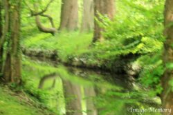 Unicorn Drinking Unicorn Drinking