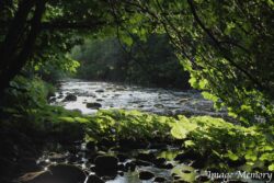 Anglers Paradise Anglers Paradise