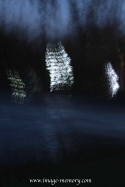 Gold,Frankincense and Myrrh Gold,Frankincense and Myrrh