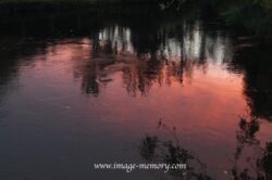 Raspberry Ripple Raspberry Ripple