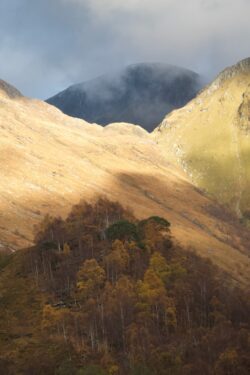 Autumn Song Autumn Song