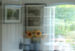 Cottage Sunflowers Cottage Sunflowers