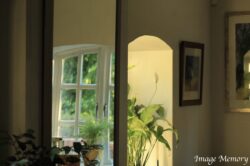 Early Morning Early Morning