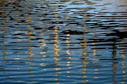 Canal Reflection Canal Reflection