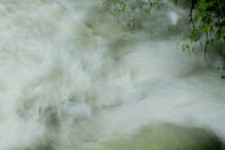 Degas Flows Degas Flows