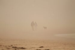 Mists of Time Mists of Time