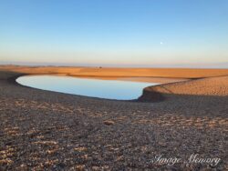 Shingle Street Pool Shingle Street Pool