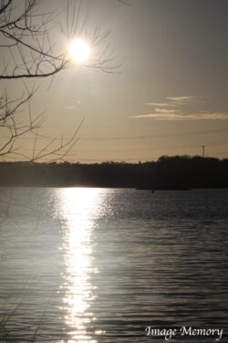 Winter Sun Winter Sun